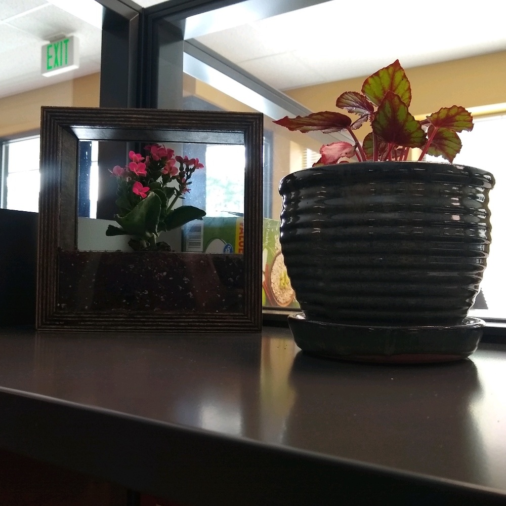 Meet your Posher, Leslie